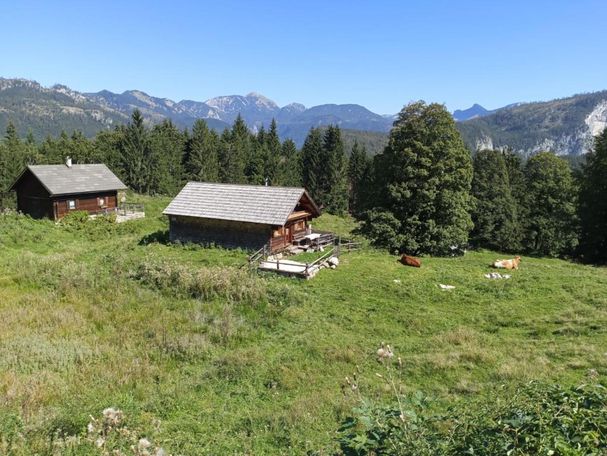 Jeff'S - Rooms With A Mountain View Bad Goisern Exterior photo